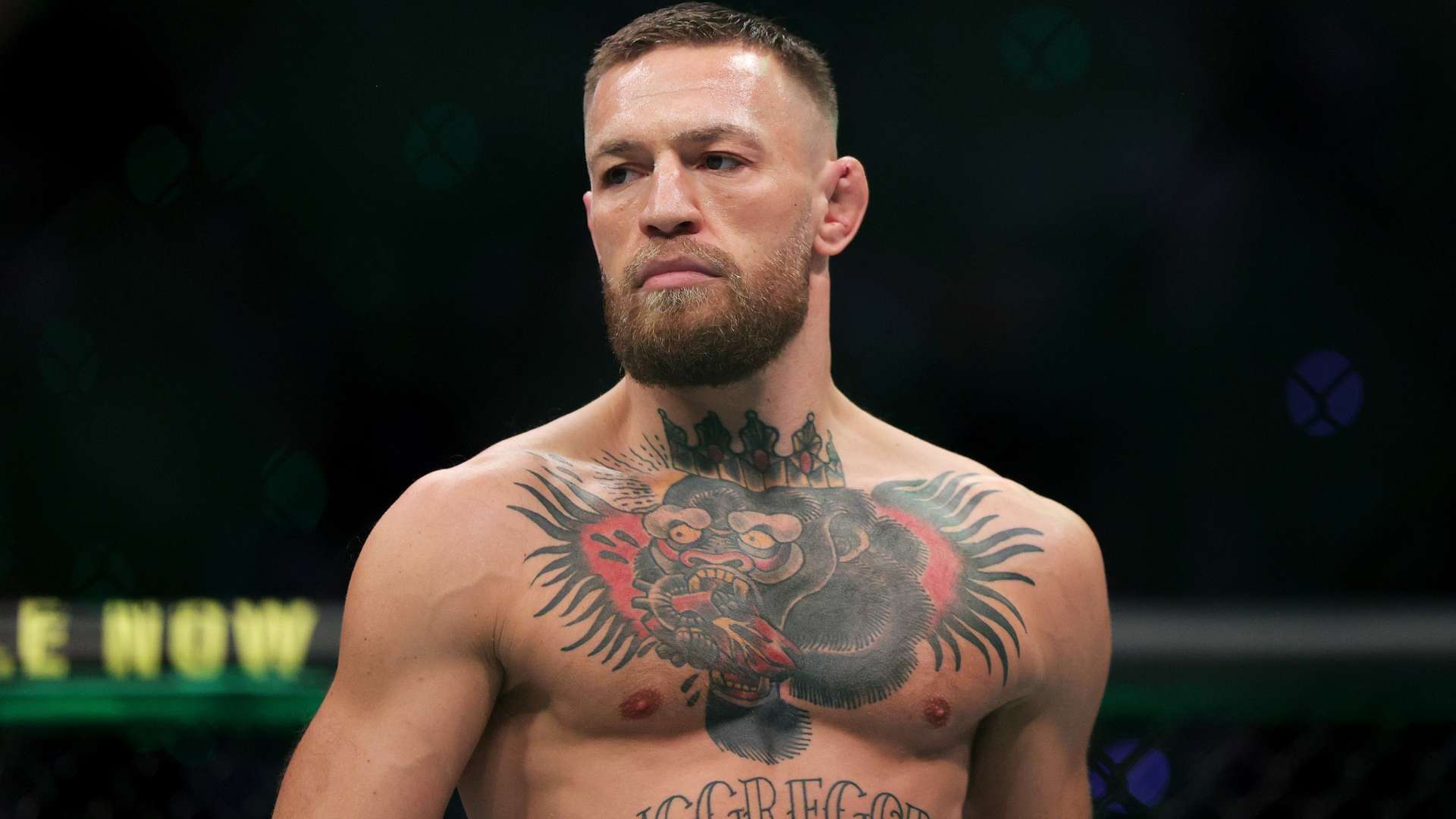 回顾波切蒂 回顾波切蒂